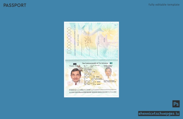 Beispielansicht eines Bahamas-Passes